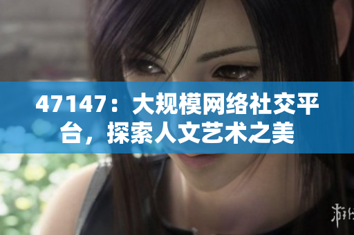 47147：大规模网络社交平台，探索人文艺术之美