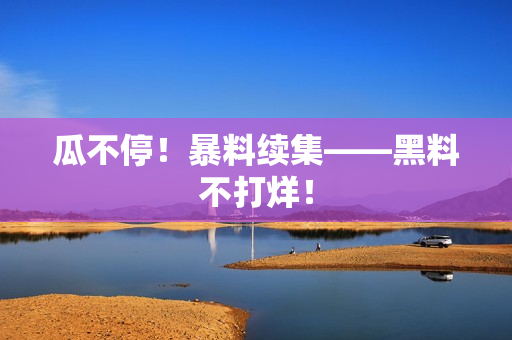 瓜不停！暴料续集——黑料不打烊！