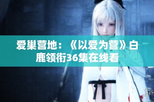 爱巢营地：《以爱为营》白鹿领衔36集在线看