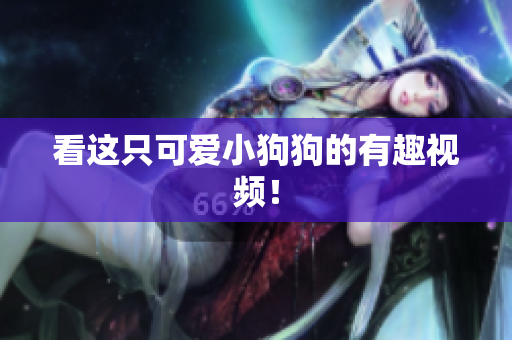 看这只可爱小狗狗的有趣视频！
