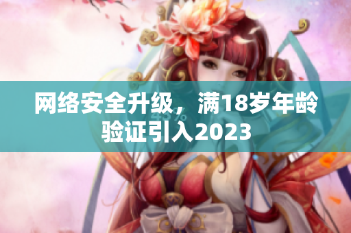网络安全升级，满18岁年龄验证引入2023