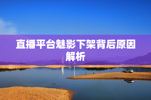 直播平台魅影下架背后原因解析