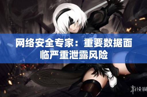 网络安全专家：重要数据面临严重泄露风险