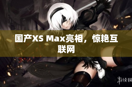 国产XS Max亮相，惊艳互联网
