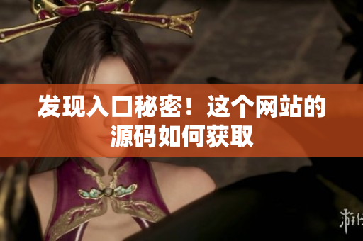 发现入口秘密！这个网站的源码如何获取