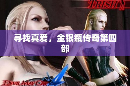 寻找真爱，金银瓶传奇第四部