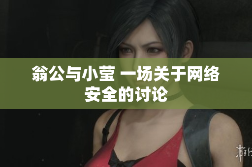翁公与小莹 一场关于网络安全的讨论