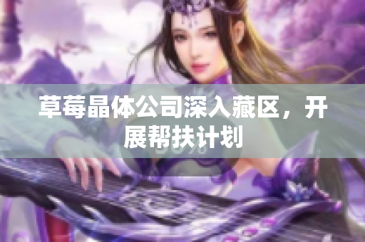 草莓晶体公司深入藏区，开展帮扶计划
