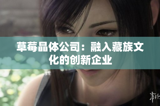 草莓晶体公司：融入藏族文化的创新企业