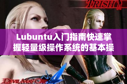 Lubuntu入门指南快速掌握轻量级操作系统的基本操作