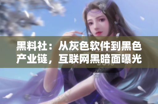 黑料社：从灰色软件到黑色产业链，互联网黑暗面曝光