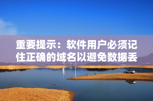 重要提示：软件用户必须记住正确的域名以避免数据丢失