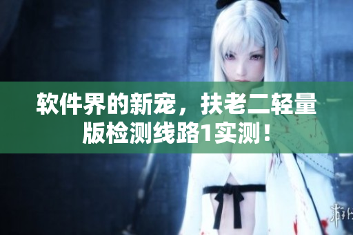 软件界的新宠，扶老二轻量版检测线路1实测！