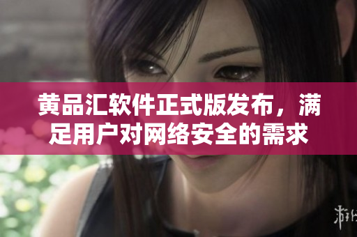 黄品汇软件正式版发布，满足用户对网络安全的需求