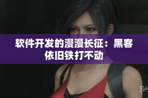 软件开发的漫漫长征：黑客依旧铁打不动