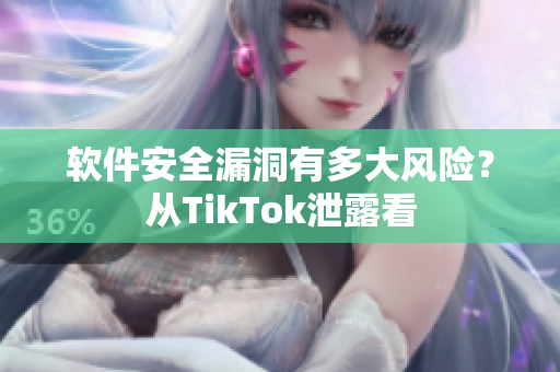 软件安全漏洞有多大风险？从TikTok泄露看