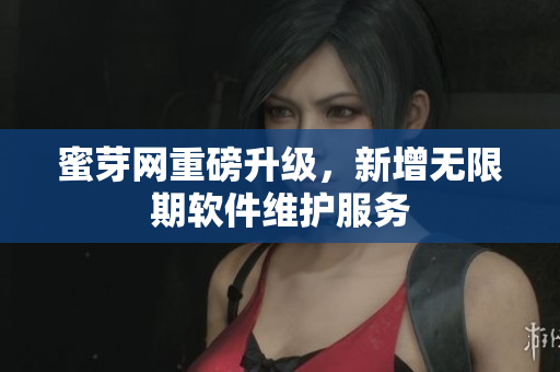 蜜芽网重磅升级，新增无限期软件维护服务