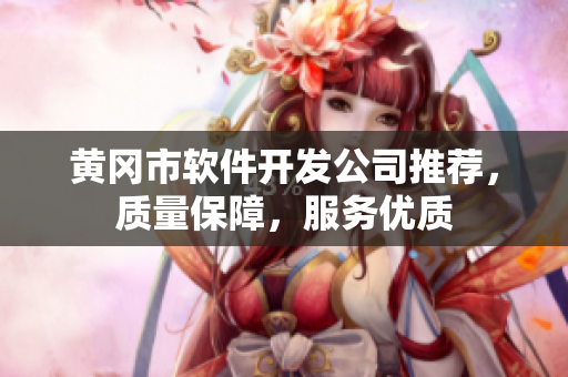 黄冈市软件开发公司推荐，质量保障，服务优质