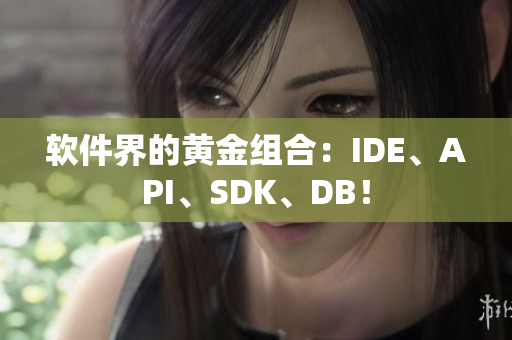 软件界的黄金组合：IDE、API、SDK、DB！