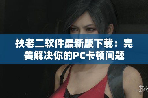 扶老二软件最新版下载：完美解决你的PC卡顿问题