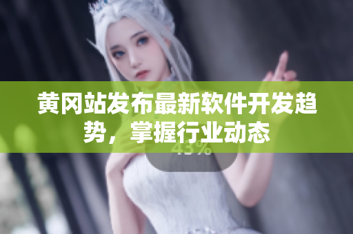 黄冈站发布最新软件开发趋势，掌握行业动态
