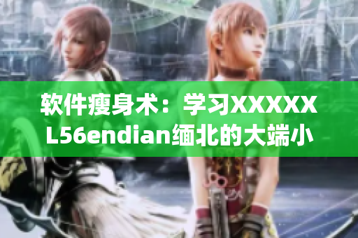 软件瘦身术：学习XXXXXL56endian缅北的大端小端处理方式(1)