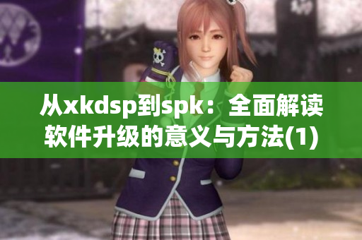 从xkdsp到spk：全面解读软件升级的意义与方法(1)