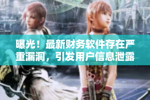 曝光！最新财务软件存在严重漏洞，引发用户信息泄露风险