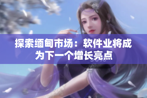 探索缅甸市场：软件业将成为下一个增长亮点