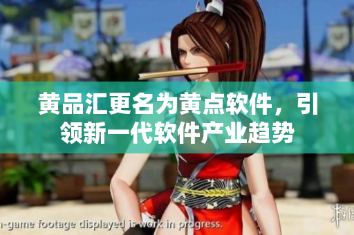 黄品汇更名为黄点软件，引领新一代软件产业趋势