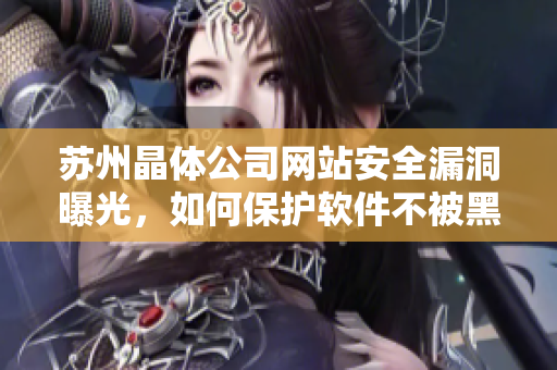 苏州晶体公司网站安全漏洞曝光，如何保护软件不被黑客攻击