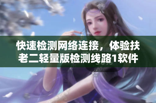 快速检测网络连接，体验扶老二轻量版检测线路1软件