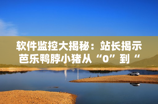 软件监控大揭秘：站长揭示芭乐鸭脖小猪从“0”到“1”的过程！