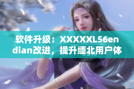 软件升级：XXXXXL56endian改进，提升缅北用户体验