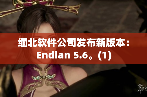 缅北软件公司发布新版本：Endian 5.6。(1)