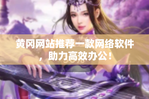 黄冈网站推荐一款网络软件，助力高效办公！