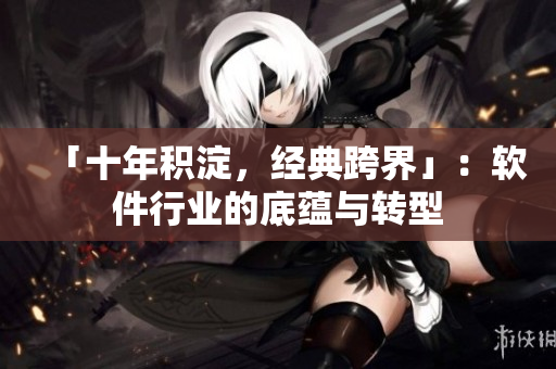 「十年积淀，经典跨界」：软件行业的底蕴与转型