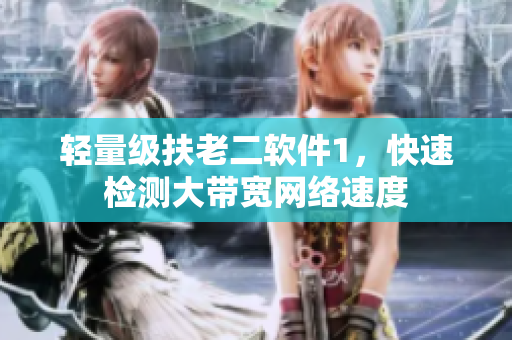 轻量级扶老二软件1，快速检测大带宽网络速度