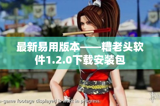最新易用版本——糟老头软件1.2.0下载安装包