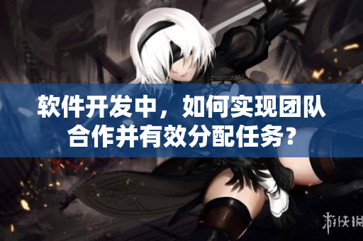 软件开发中，如何实现团队合作并有效分配任务？