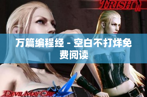 万篇编程经 - 空白不打烊免费阅读