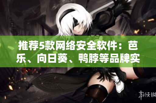 推荐5款网络安全软件：芭乐、向日葵、鸭脖等品牌实测最佳。
