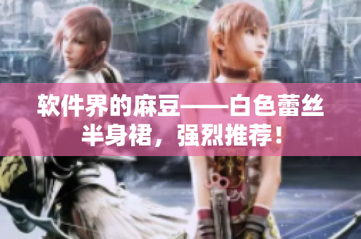软件界的麻豆——白色蕾丝半身裙，强烈推荐！