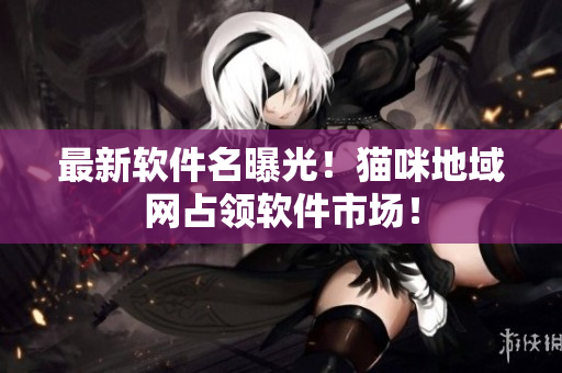 最新软件名曝光！猫咪地域网占领软件市场！