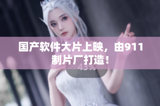 国产软件大片上映，由911制片厂打造！