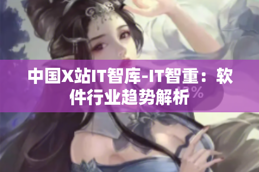 中国X站IT智库-IT智重：软件行业趋势解析