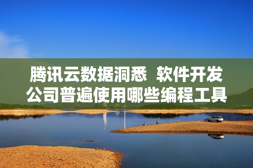 腾讯云数据洞悉  软件开发公司普遍使用哪些编程工具？