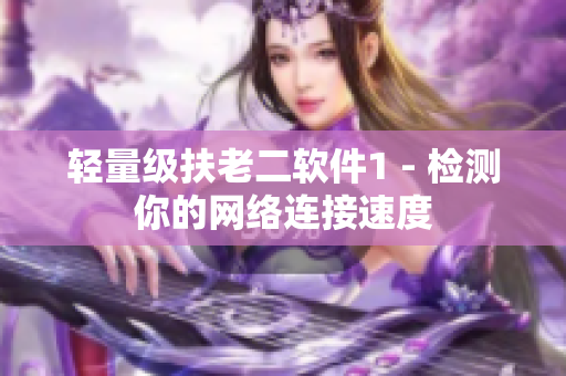 轻量级扶老二软件1 - 检测你的网络连接速度