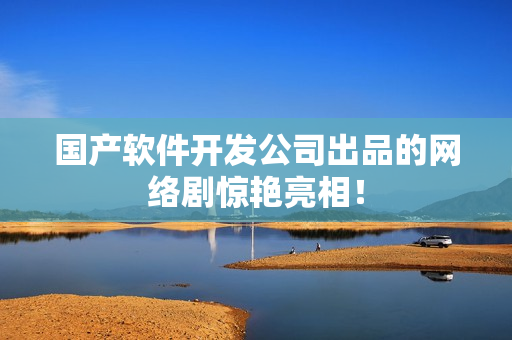 国产软件开发公司出品的网络剧惊艳亮相！