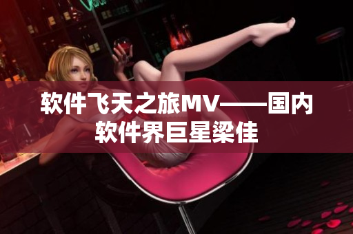 软件飞天之旅MV——国内软件界巨星梁佳
